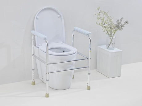 Cadre de toilettes Invacare Adeo sur WC normaux