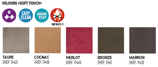 Coloris du fauteuil confort plus mini bi-moteurs