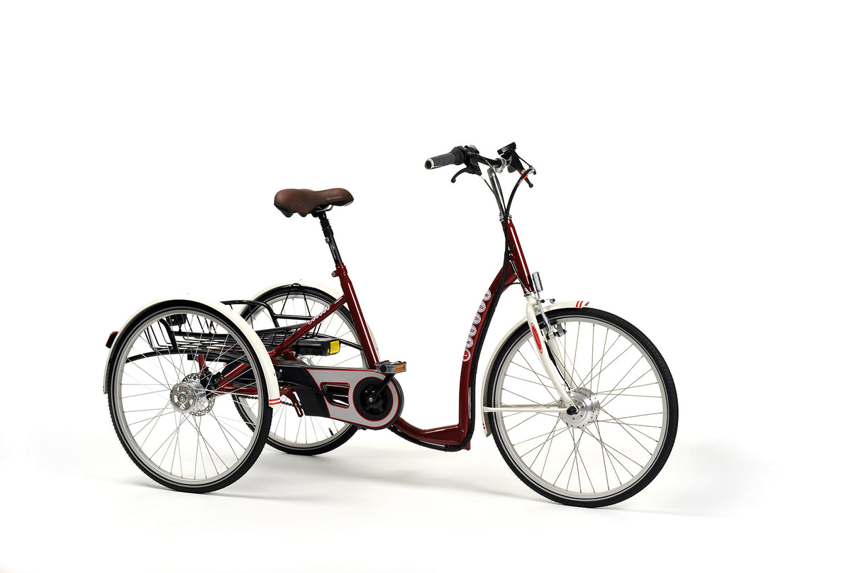 E-tricycle Lagoon Adulte Bordeaux
