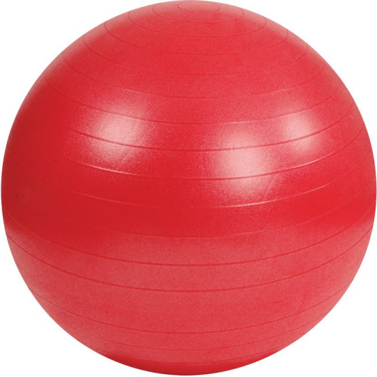 Ballon de rééducation et de gym de 55 cm